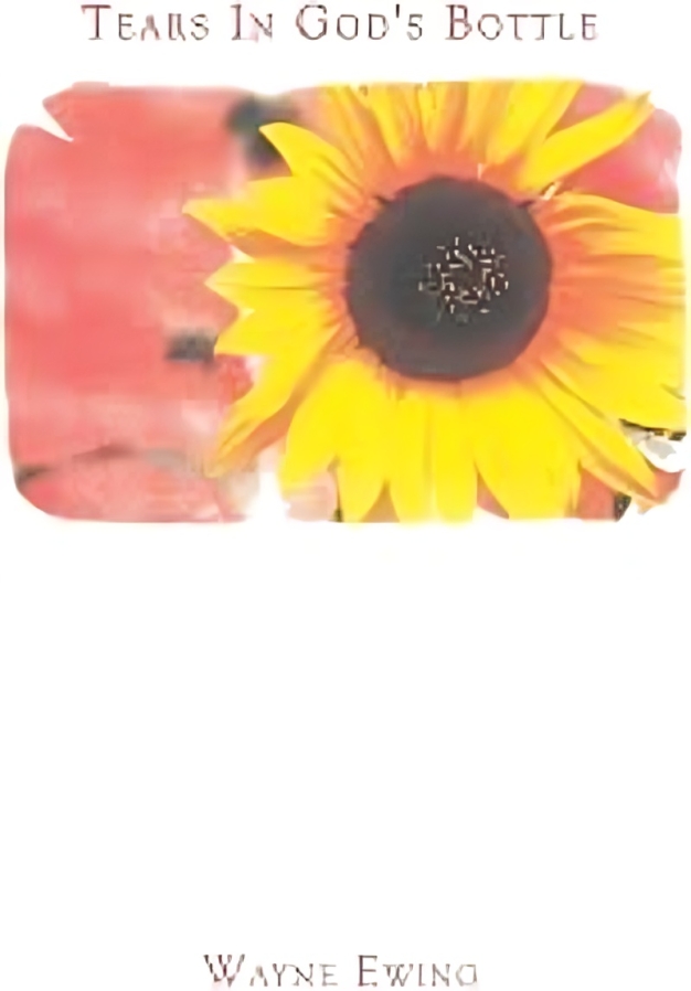 Tears in God's Bottle book cover